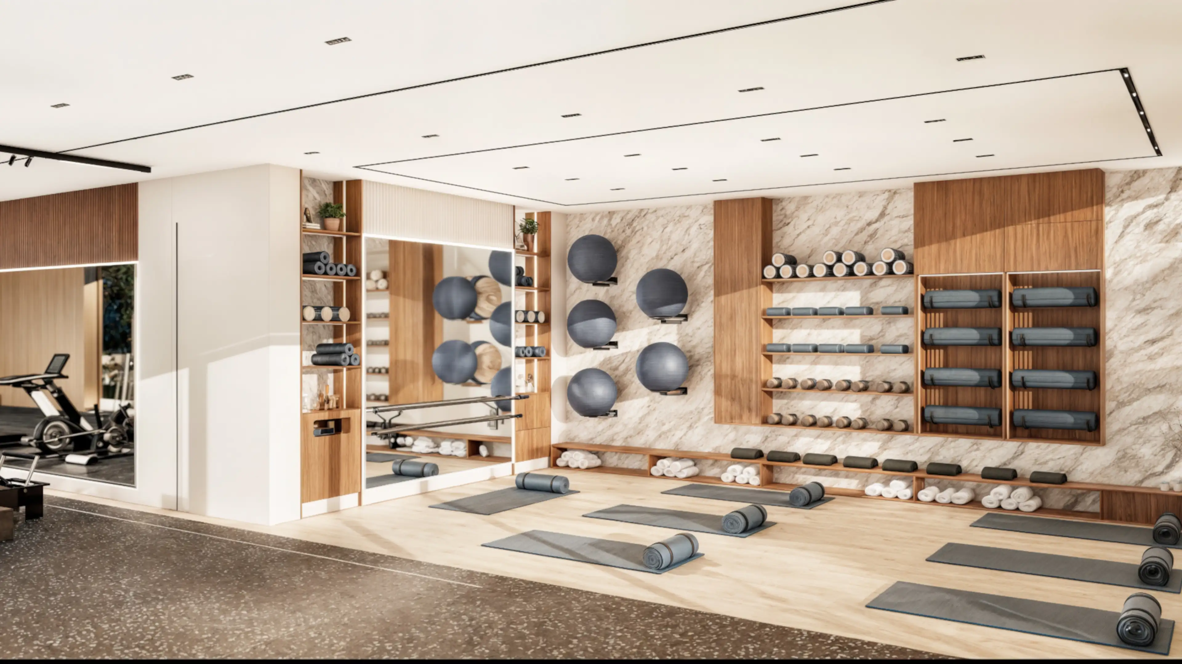 Gymnasium_image