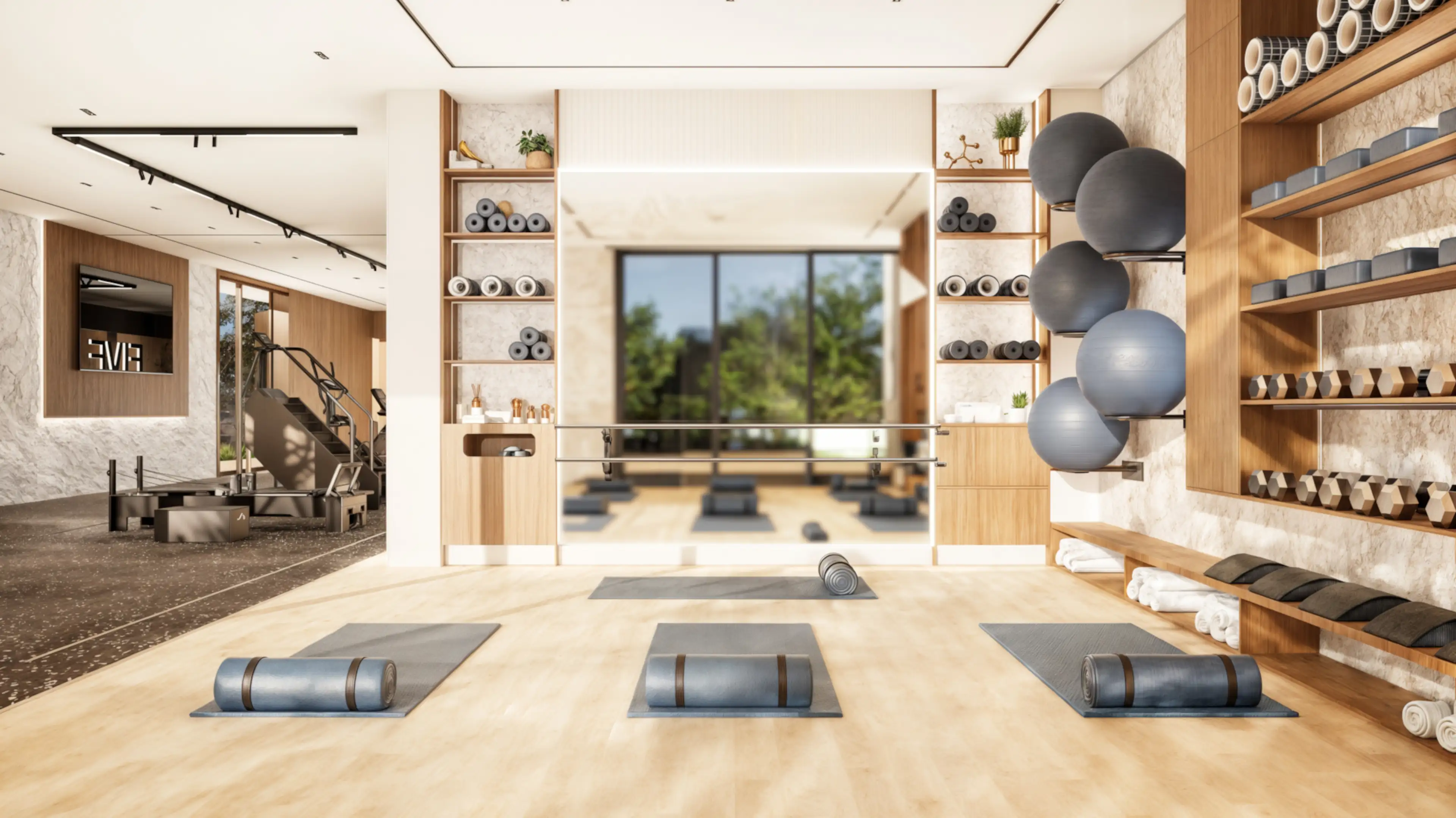 Gymnasium_image