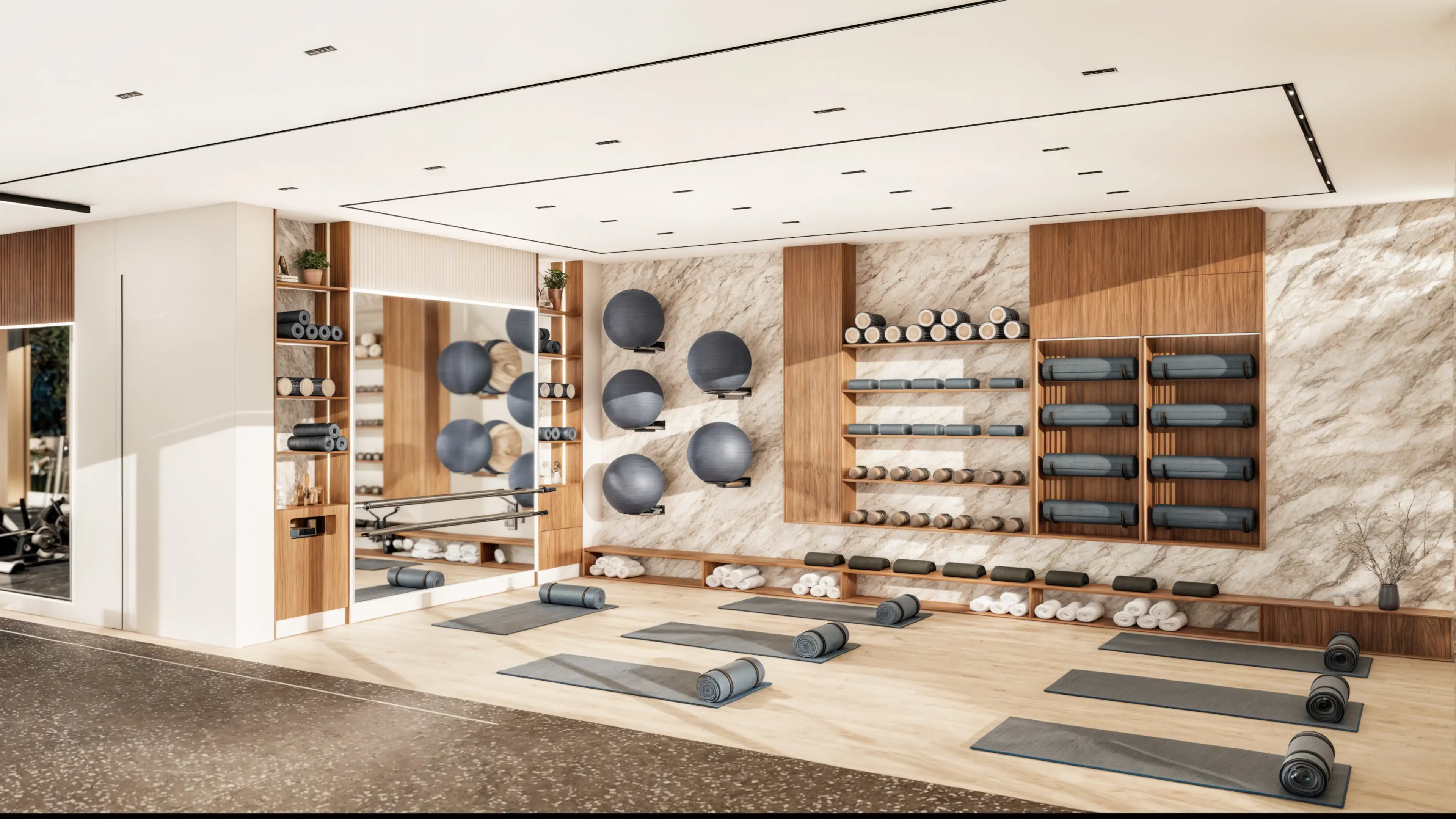 Gymnasium_image
